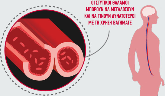 ΣΤΥΤΙΚΟΙ ΘΑΛΑΜΟΙ